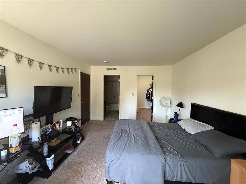 Looking For Roommate