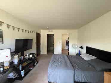 Looking For Roommate