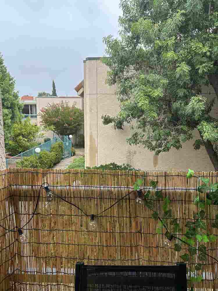 Looking for a female roommate