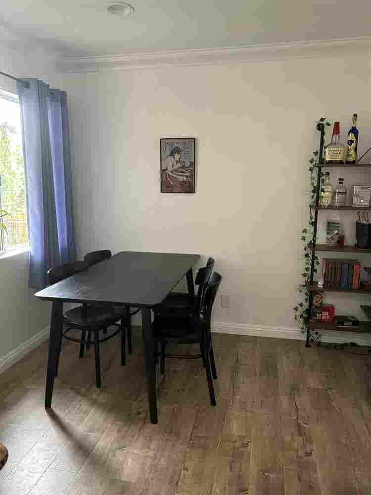 Looking for a female roommate