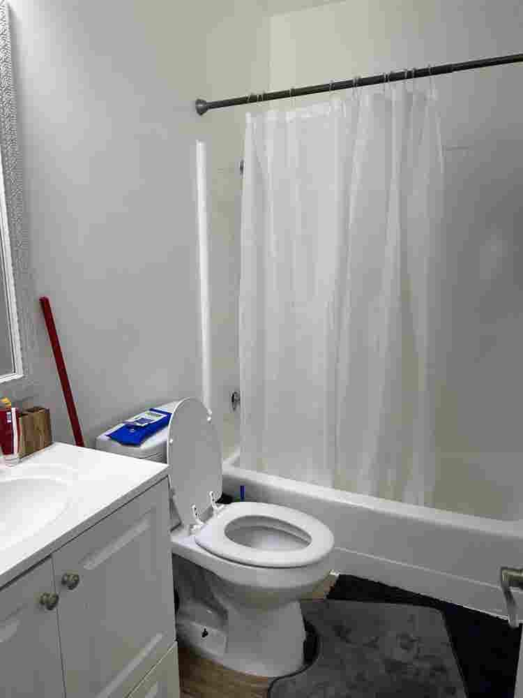 Looking for a female roommate