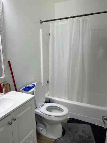 Looking for a female roommate