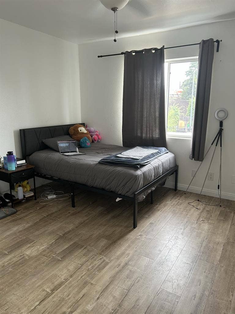 Looking for a female roommate