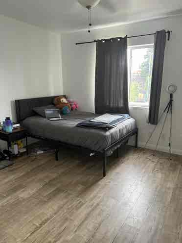 Looking for a female roommate