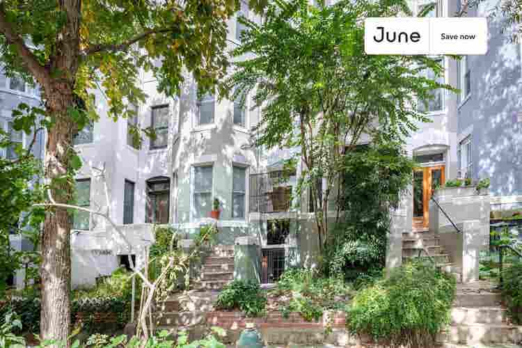 Studio in Washington DC