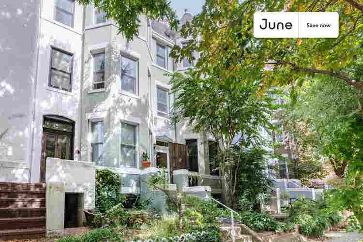 Studio in Washington DC