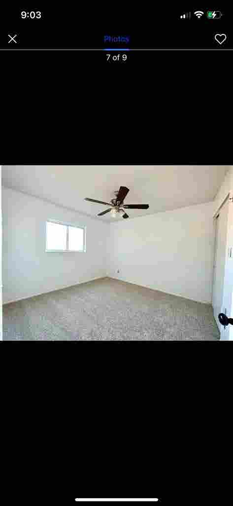 Tempe female sublet