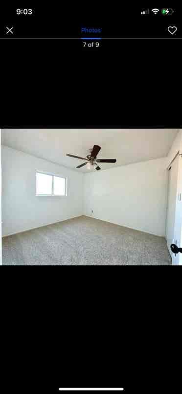 Tempe female sublet