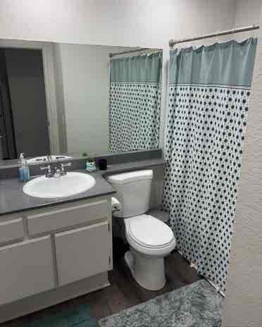 Looking for Roommate