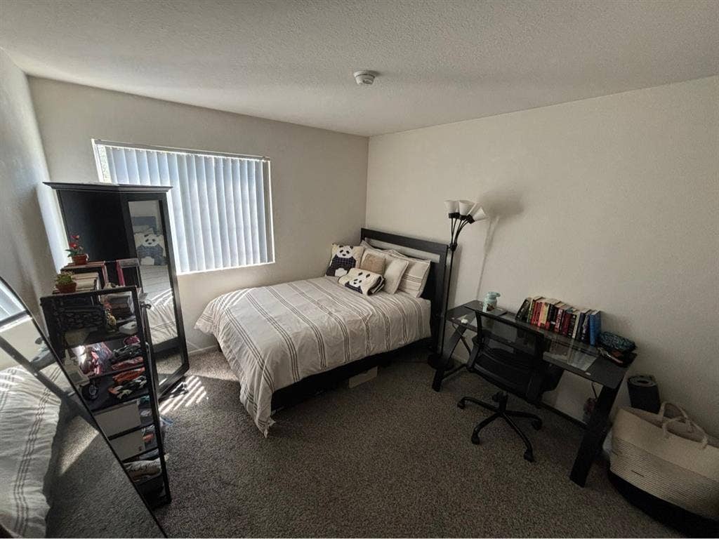 Looking for Roommate