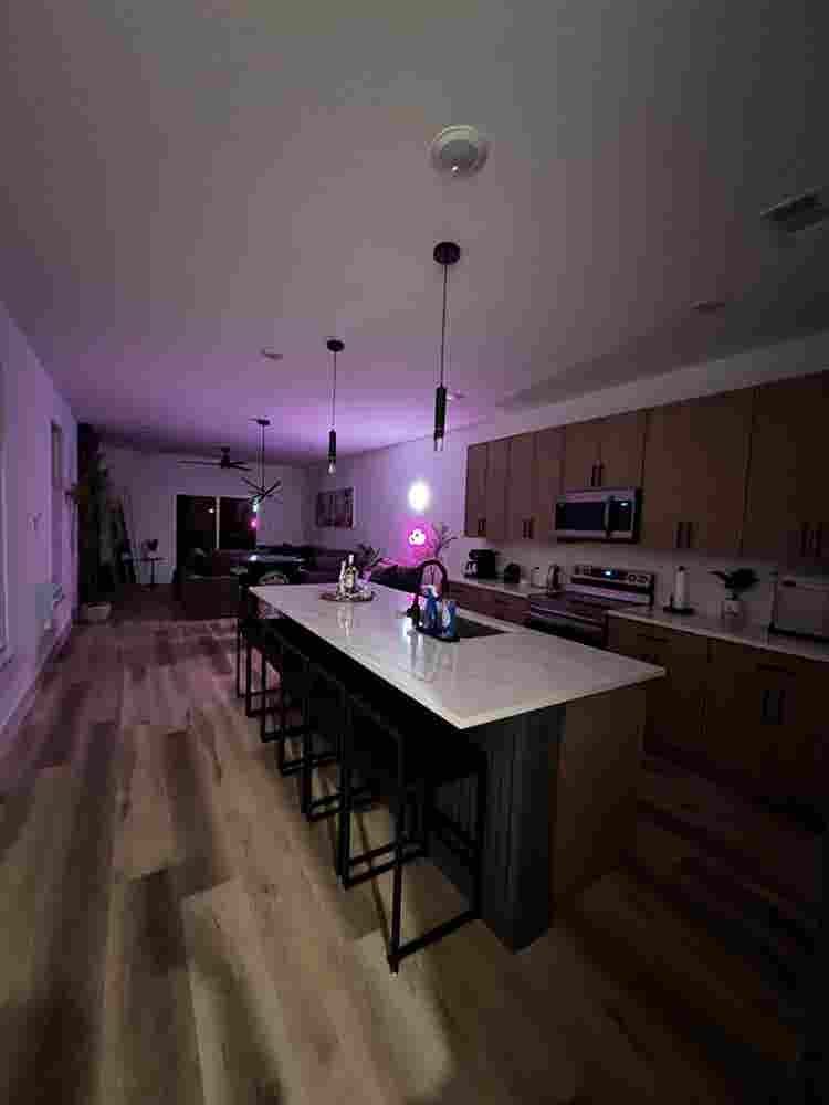Furnished Master -  All Bills Paid