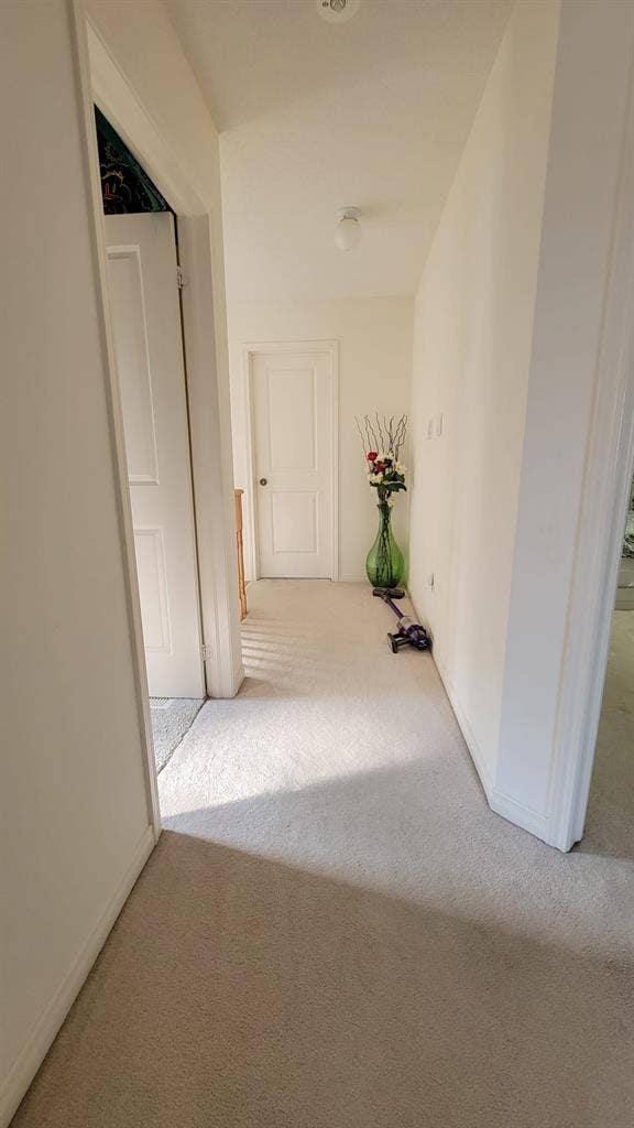 Room for rent Ajax Private/Sharing