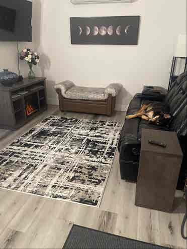 easy going roommate wanted