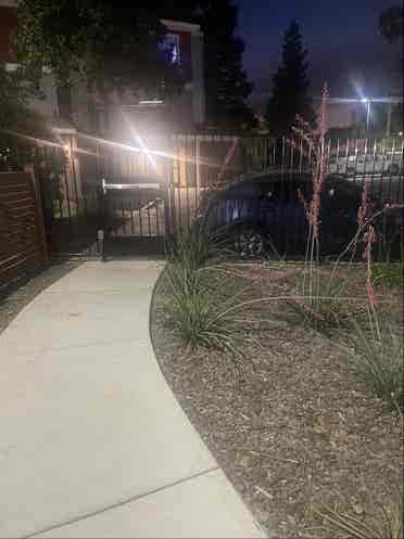 easy going roommate wanted