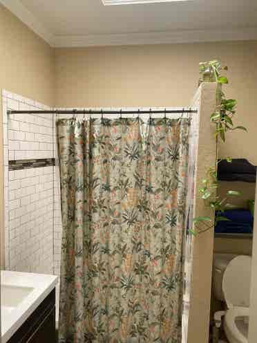 Room For Rent in Cap Hill!