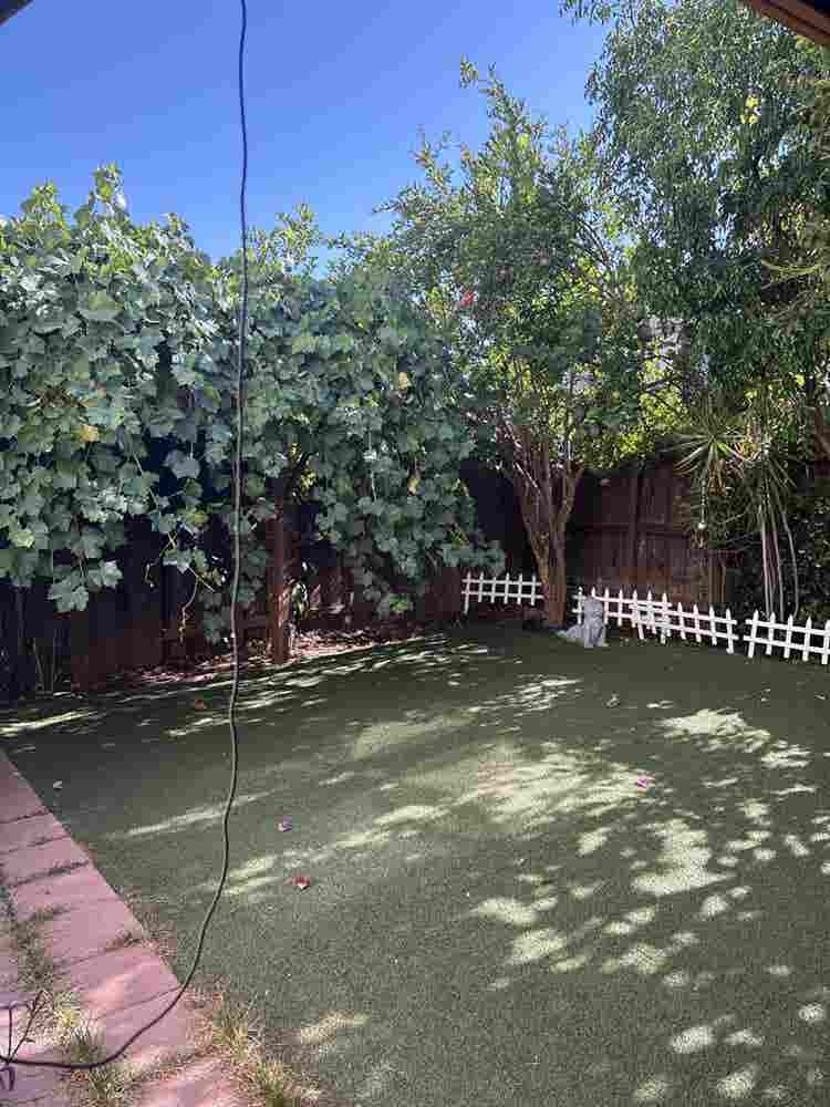Hi female home, two rooms available