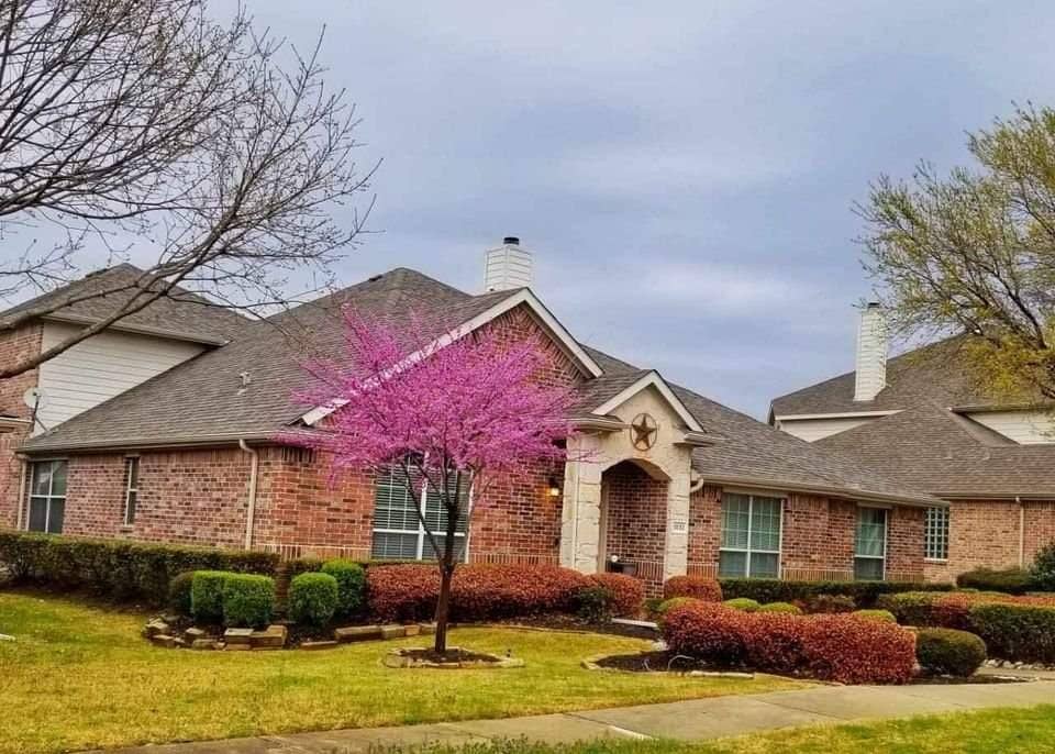 Un- or Furnished Room Frisco TX