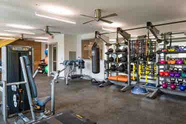 Luxury Cheap Apt (Co-Ed)