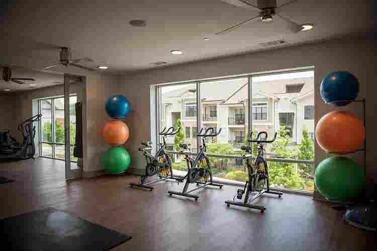 Luxury Cheap Apt (Co-Ed)