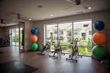 Luxury Cheap Apt (Co-Ed)