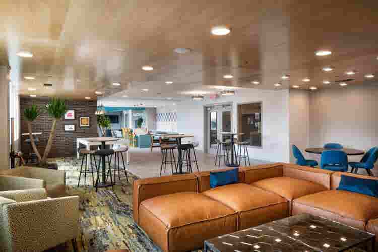 Luxury Cheap Apt (Co-Ed)
