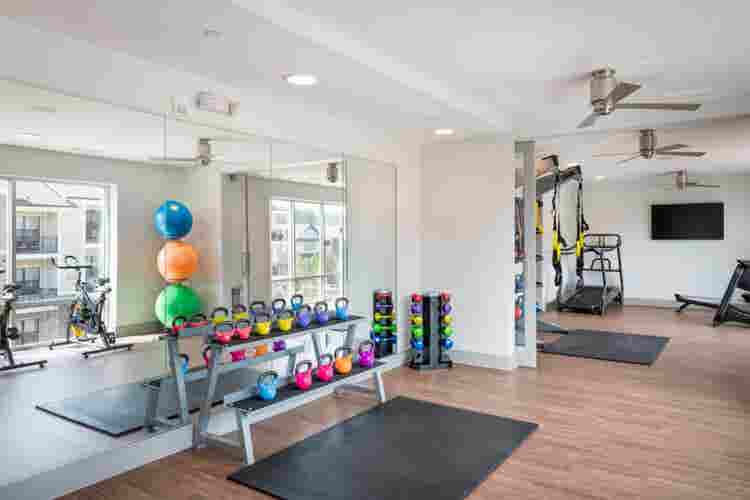 Luxury Cheap Apt (Co-Ed)