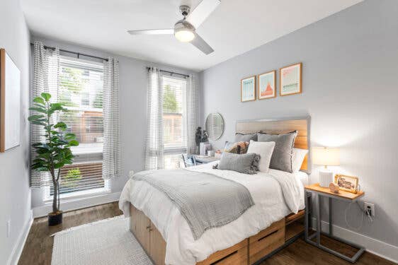Luxury Cheap Apt (Co-Ed)
