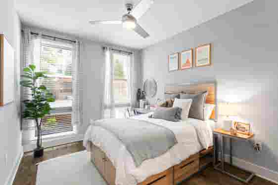 Luxury Cheap Apt (Co-Ed)