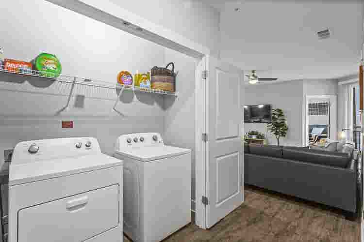 Luxury Cheap Apt (Co-Ed)