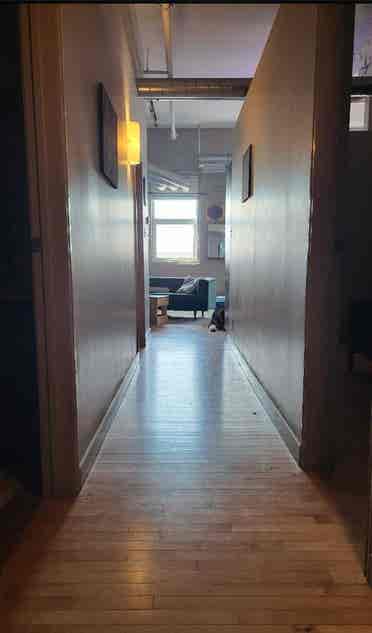 Luxury apartment-exchange district