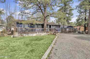 Looking for roommates in Munds Park