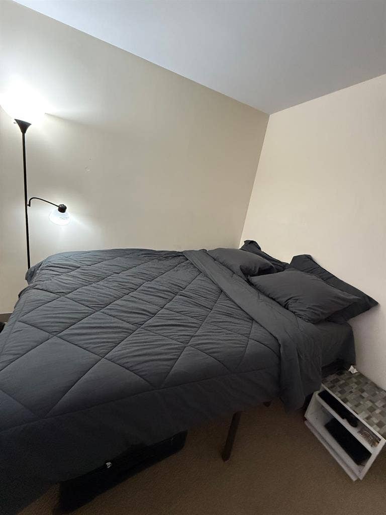 Roomate Needed