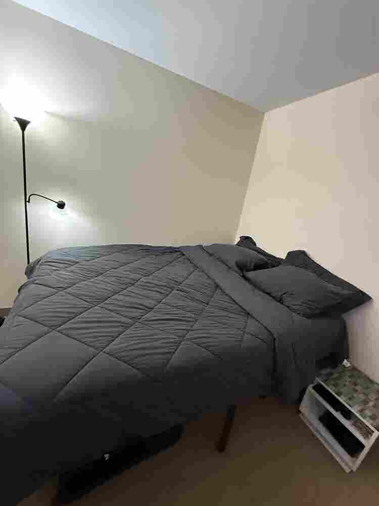 Roomate Needed
