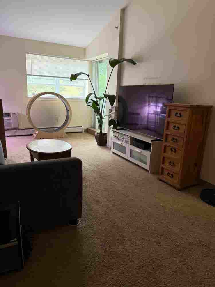 Roomate Needed