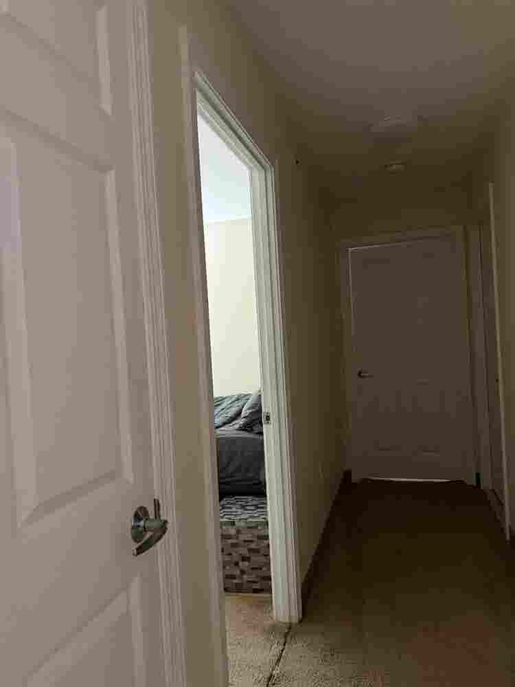 Roomate Needed