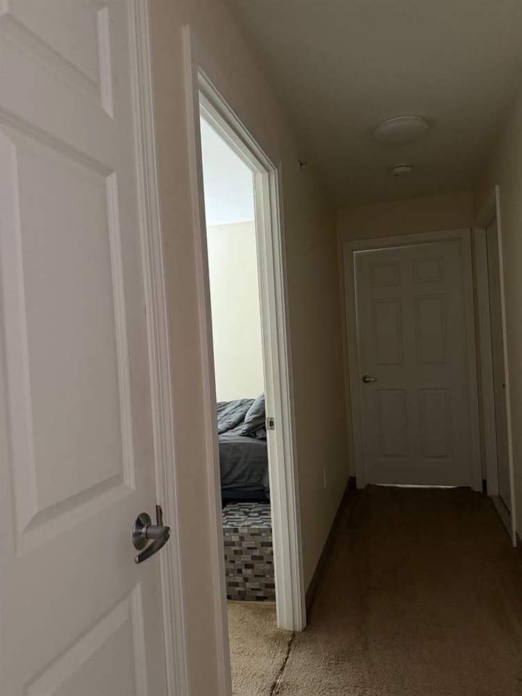 Roomate Needed