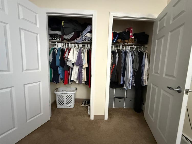 Roomate Needed