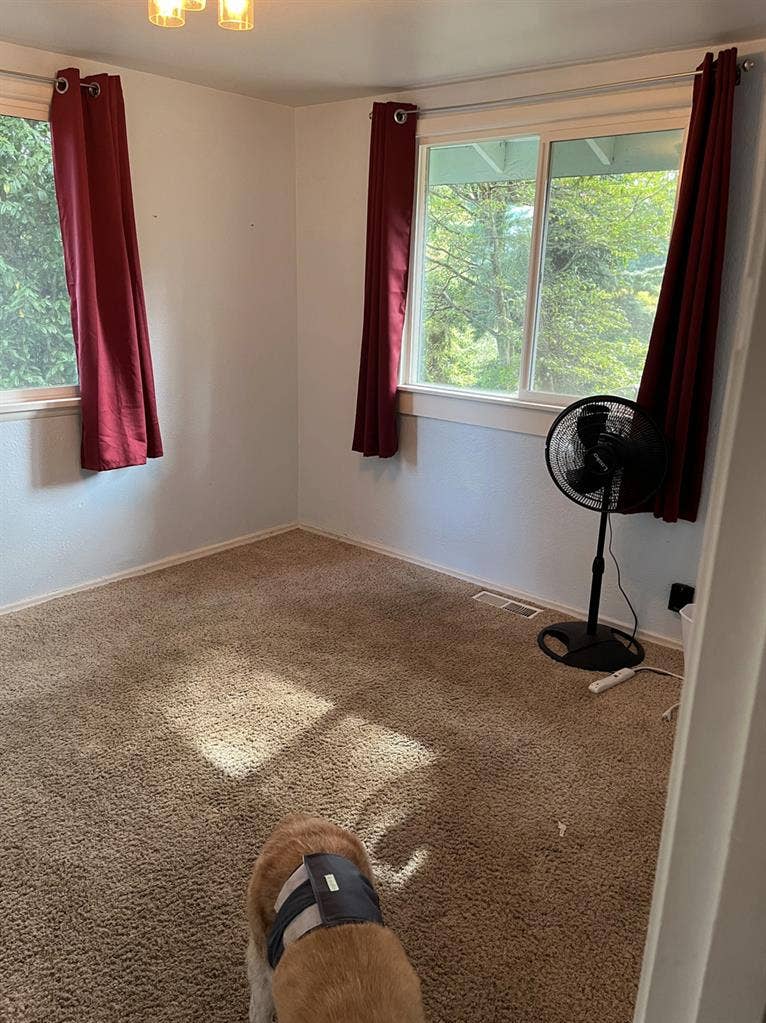 2 rooms in cozy neighborhood