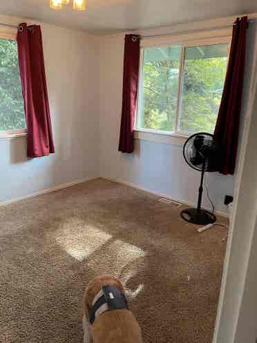 2 rooms in cozy neighborhood