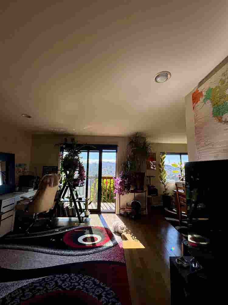 Spacious Sunny Room in Potrero Hill