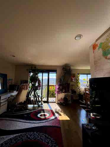 Spacious Sunny Room in Potrero Hill