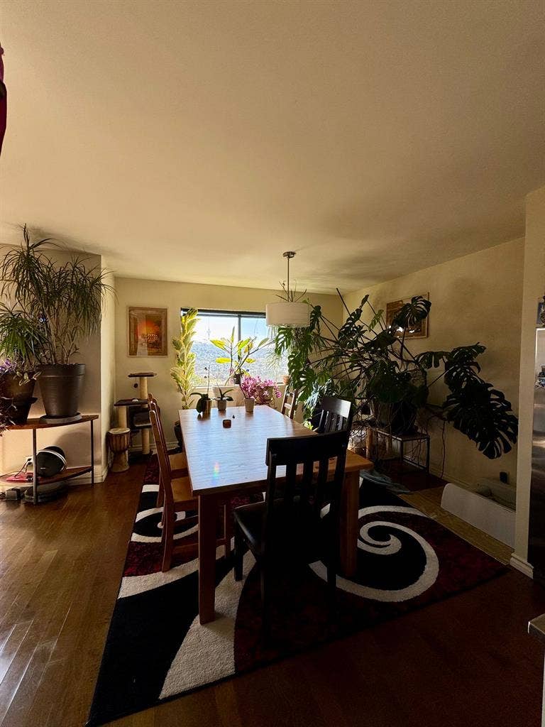 Spacious Sunny Room in Potrero Hill