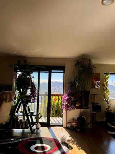Spacious Sunny Room in Potrero Hill