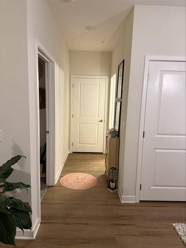 Looking for a room mate