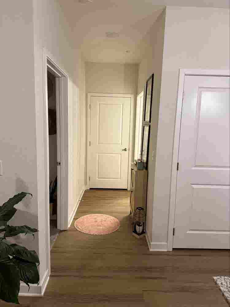 Looking for a room mate