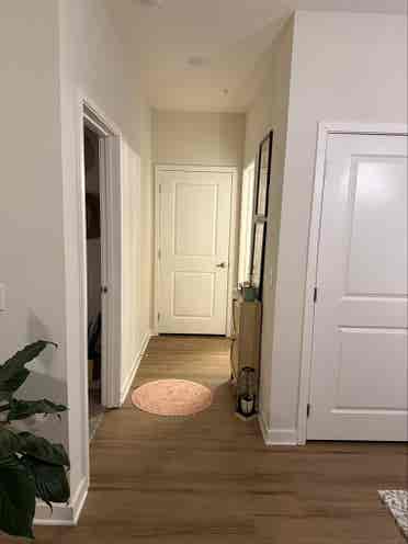 Looking for a room mate
