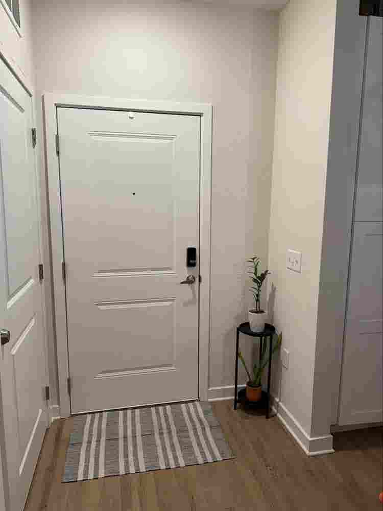 Looking for a room mate