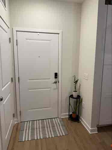 Looking for a room mate