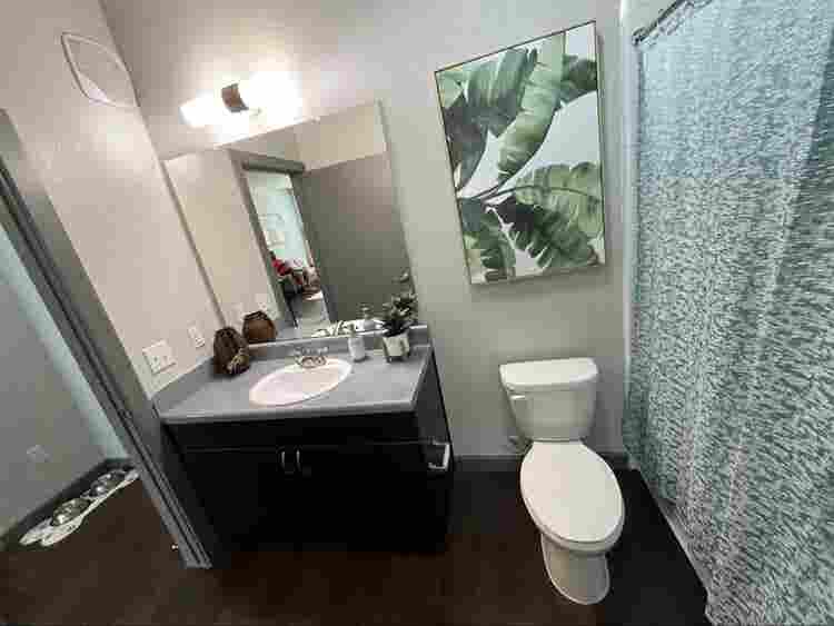 Private room and bathroom for rent