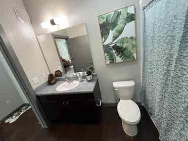 Private room and bathroom for rent